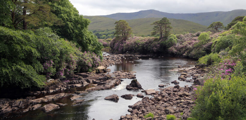 Bericht von der 41. Jahrestagung der NASCO (North Atlantic Salmon Conservation Organization)