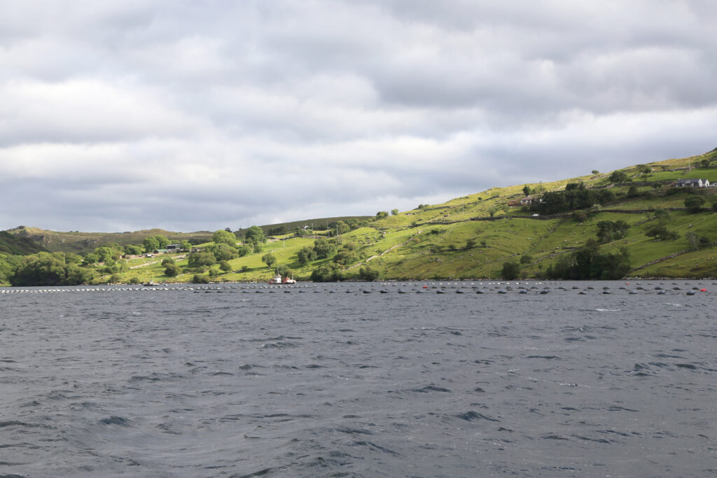 Zuchtanlagen für Austern und Miesmuscheln im Killary Fjord