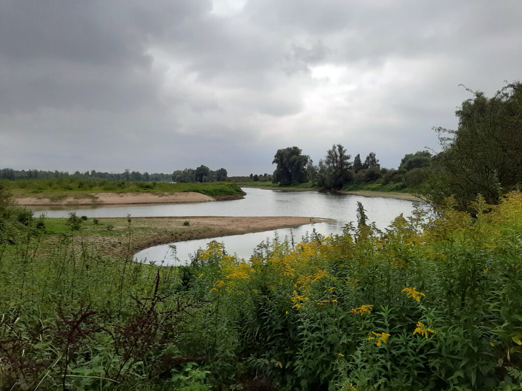 Landschaft im Naturschutzgebiet Millinger Theetuin