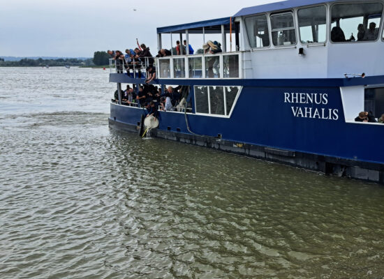 Störbesatz in die Waal